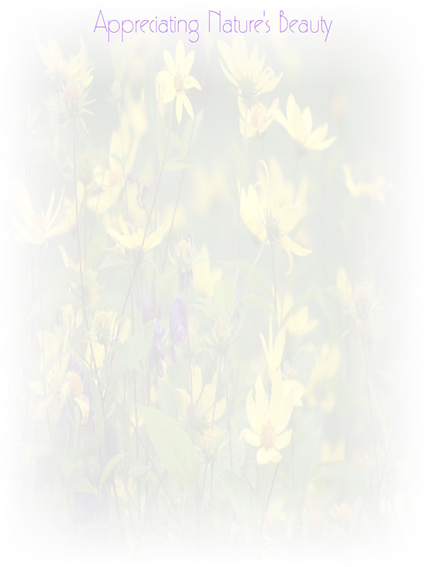 Law of Attraction Card - Image 3