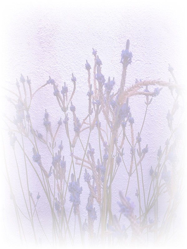 Law of Attraction Card - Image 3