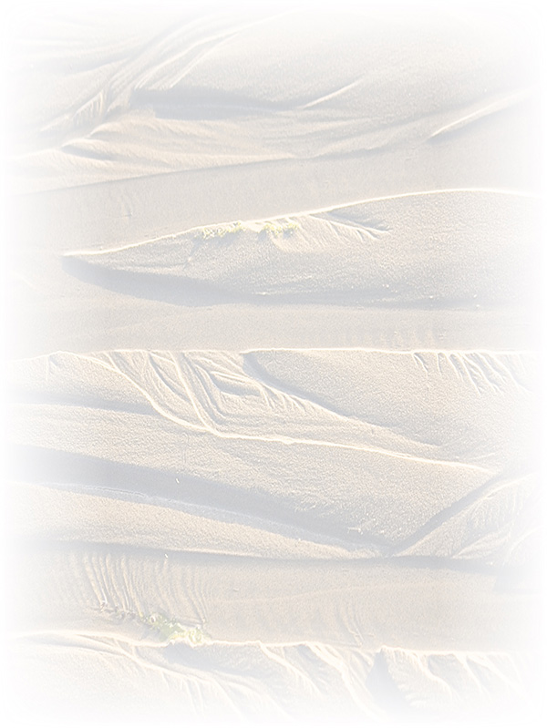 Law of Attraction Card - Image 3