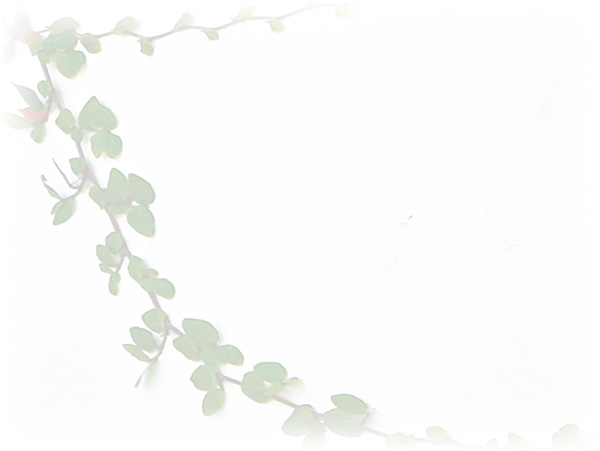Law of Attraction Card - Image 3