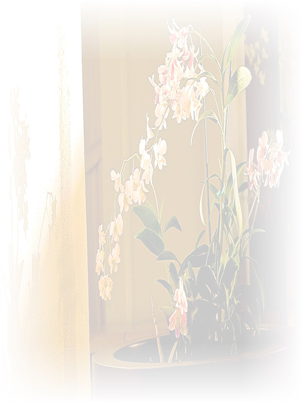 Law of Attraction Card - Image 3