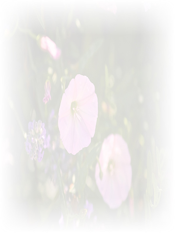 Law of Attraction Card - Image 3
