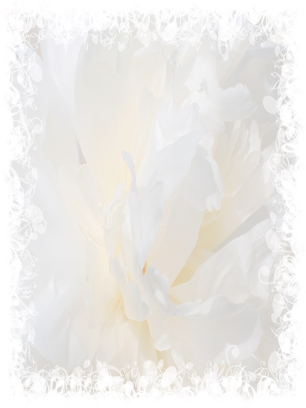 Law of Attraction Card - Image 3