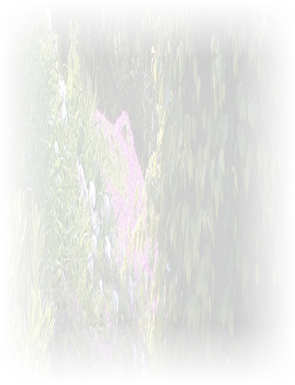 Law of Attraction Card - Image 3