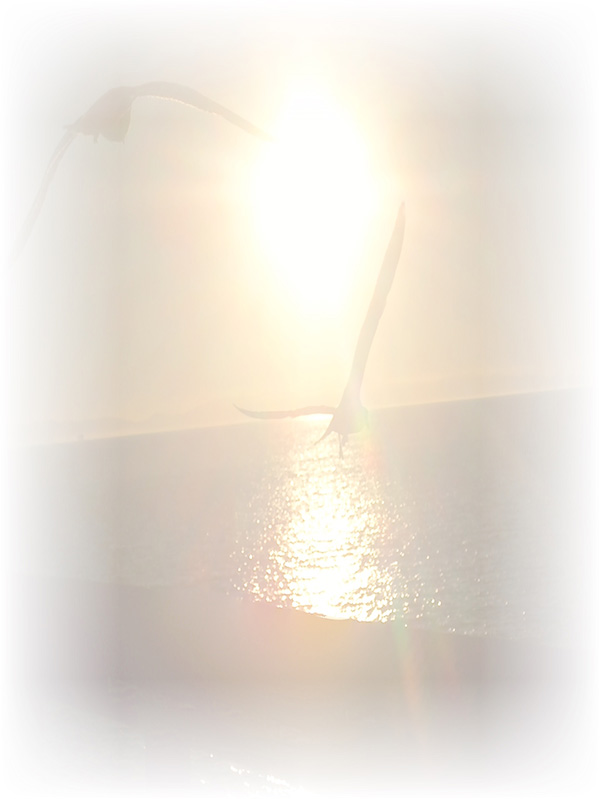 Law of Attraction Card - Image 3