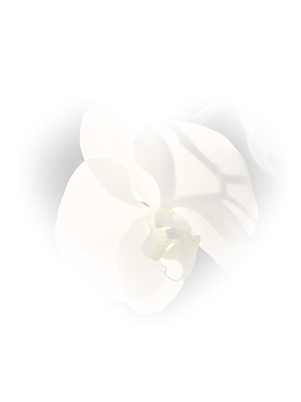 Law of Attraction Card - Image 3