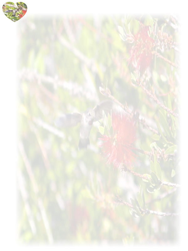 Law of Attraction Card - Image 3