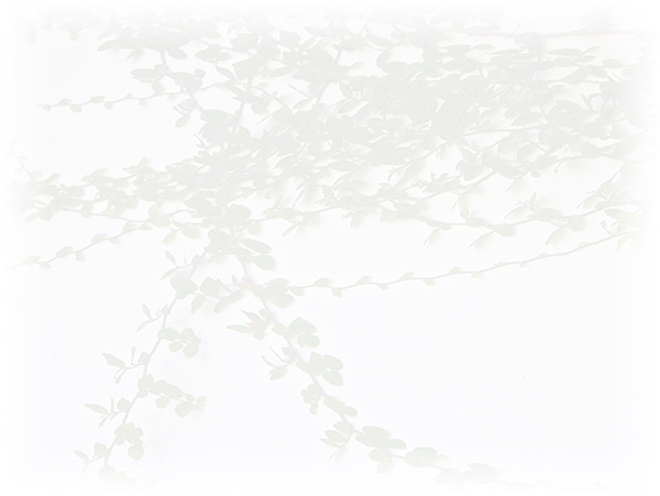 Law of Attraction Card - Image 3