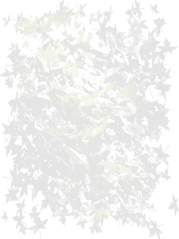 Law of Attraction Card - Image 3