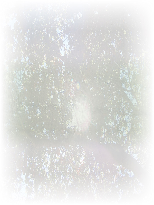 Law of Attraction Card - Image 3