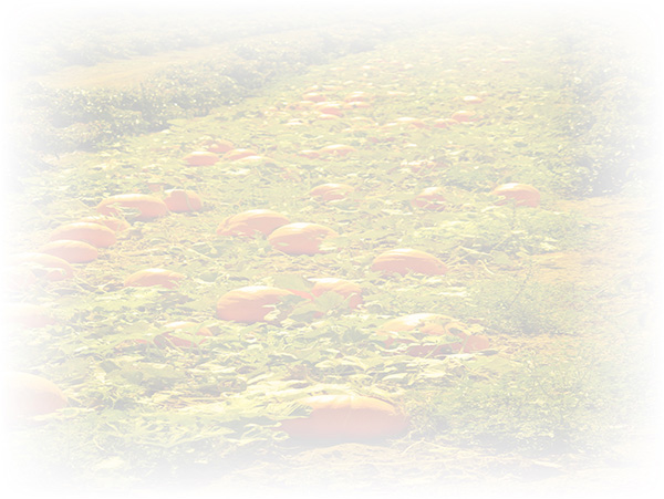 Law of Attraction Card - Image 3