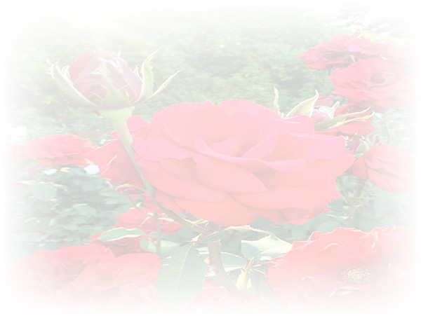 Law of Attraction Card - Image 3