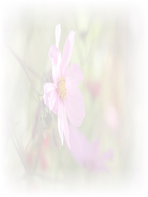 Law of Attraction Card - Image 3