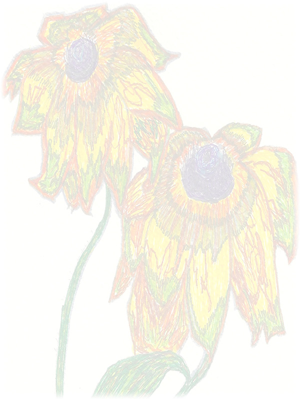Law of Attraction Card - Image 3