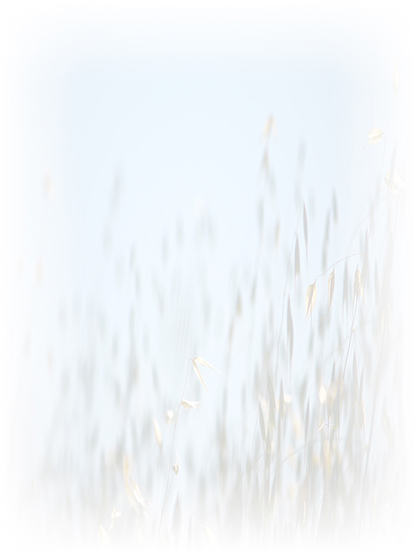 Law of Attraction Card - Image 3