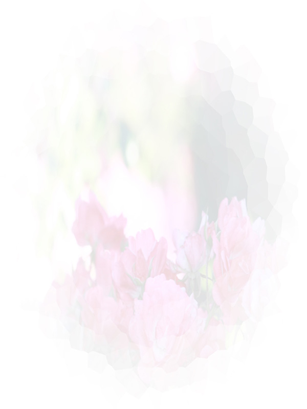 Law of Attraction Card - Image 3