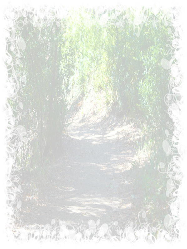 Law of Attraction Card - Image 3