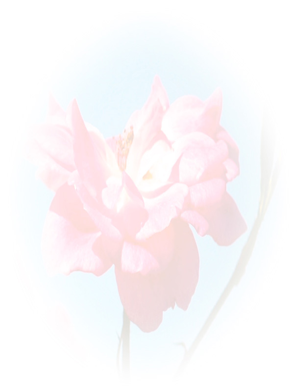 Law of Attraction Card - Image 3