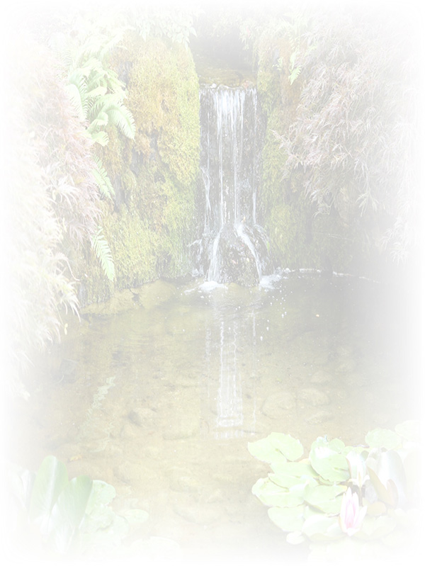 Law of Attraction Card - Image 3