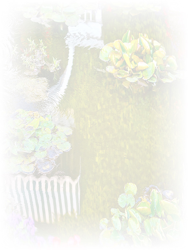 Law of Attraction Card - Image 3