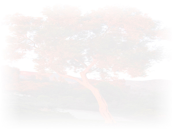 Law of Attraction Card - Image 3