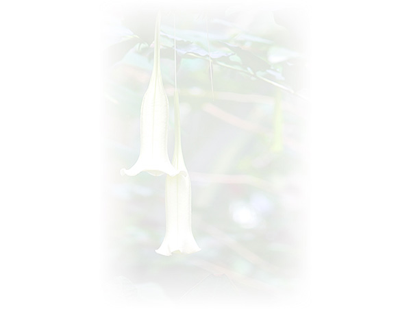 Law of Attraction Card - Image 3