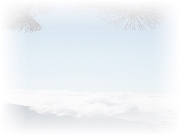 Law of Attraction Card - Image 3