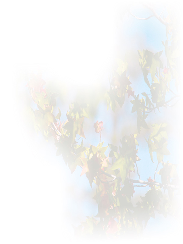 Law of Attraction Card - Image 3