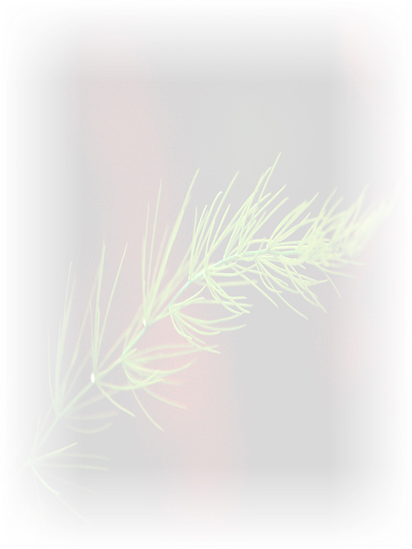 Law of Attraction Card - Image 3