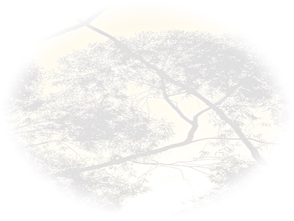 Law of Attraction Card - Image 3