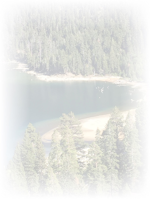 Law of Attraction Card - Image 3