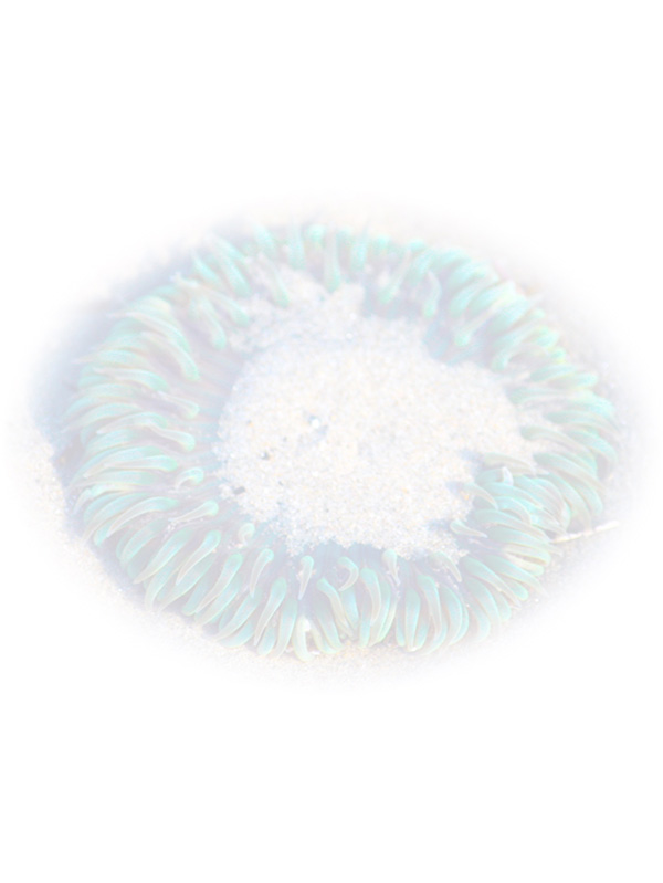 Law of Attraction Card - Image 3