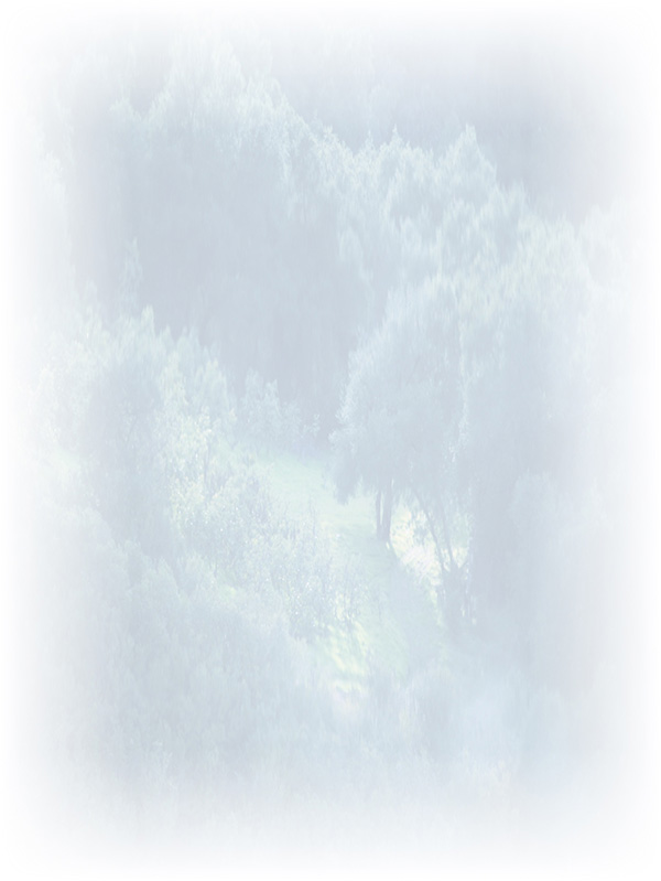 Law of Attraction Card - Image 3