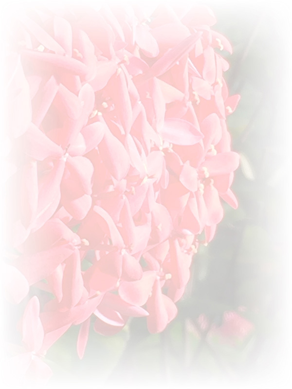 Law of Attraction Card - Image 3
