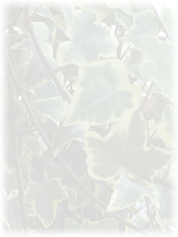 Law of Attraction Card - Image 3