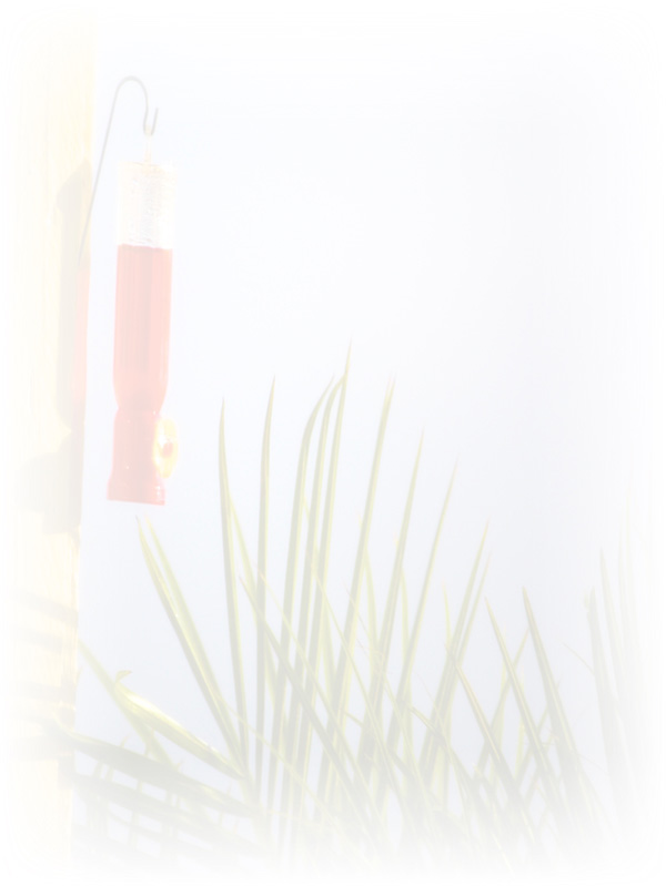Law of Attraction Card - Image 3