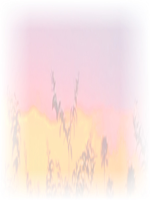 Law of Attraction Card - Image 3