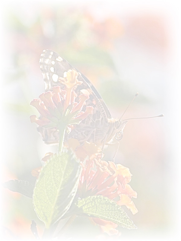 Law of Attraction Card - Image 3