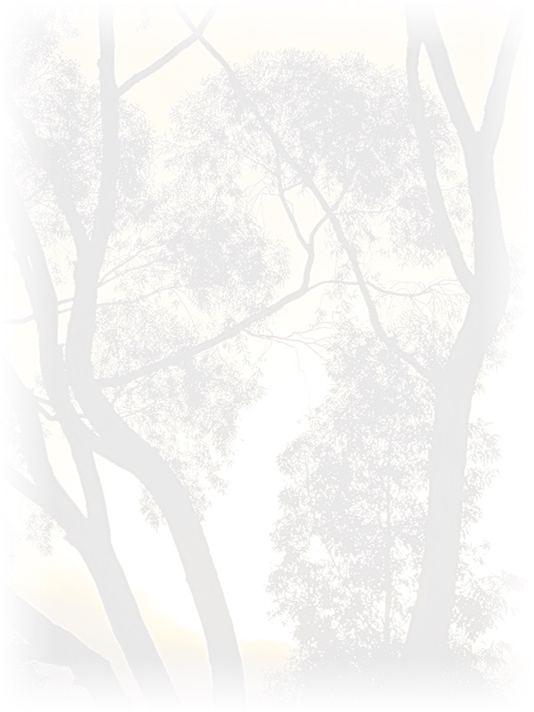 Law of Attraction Card - Image 3
