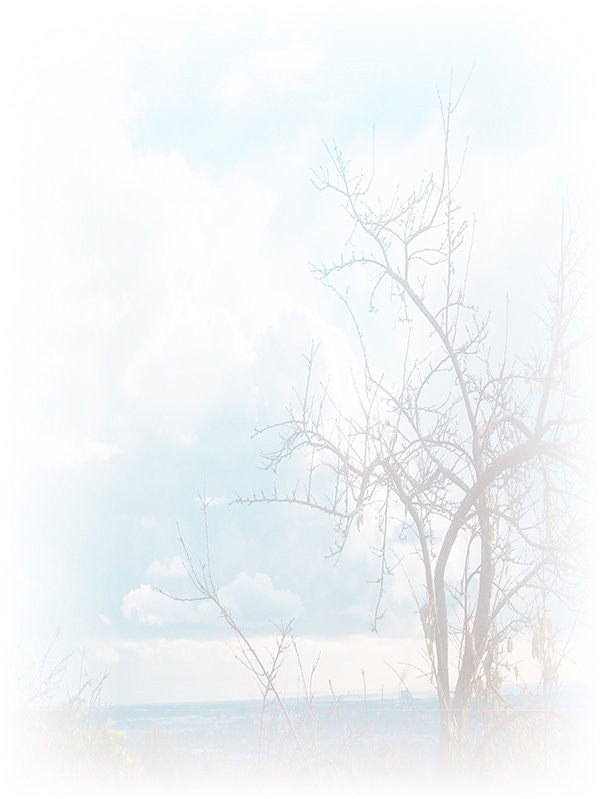 Law of Attraction Card - Image 3