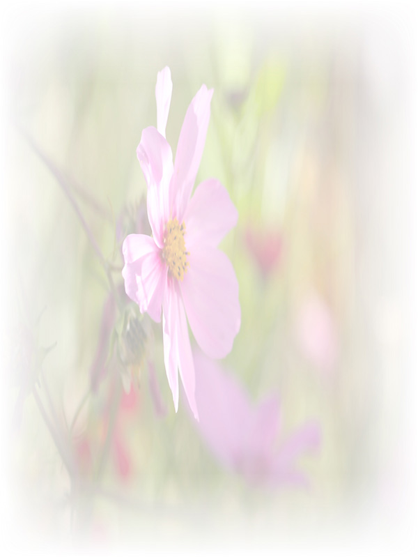 Law of Attraction Card - Image 3