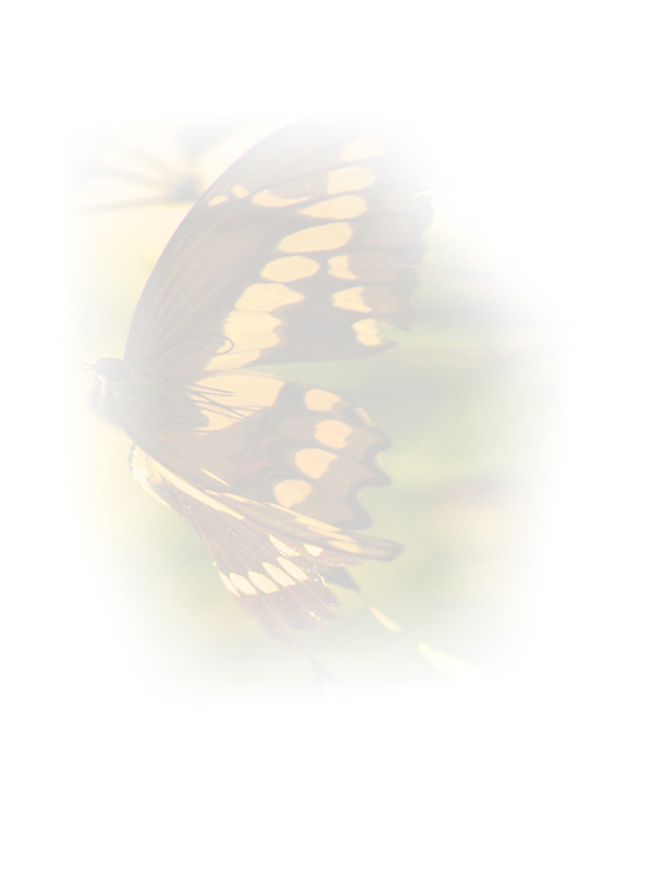 Law of Attraction Card - Image 3