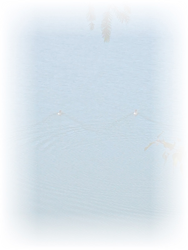 Law of Attraction Card - Image 3
