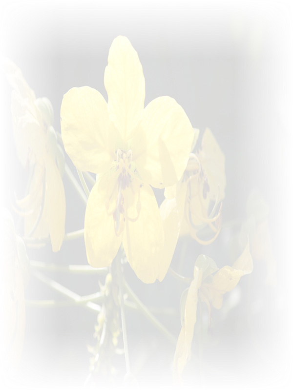 Law of Attraction Card - Image 3