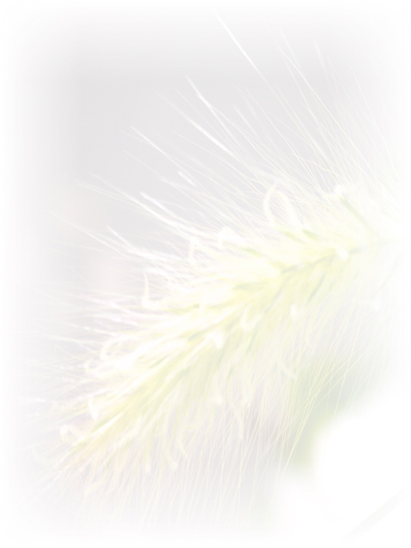 Law of Attraction Card - Image 3