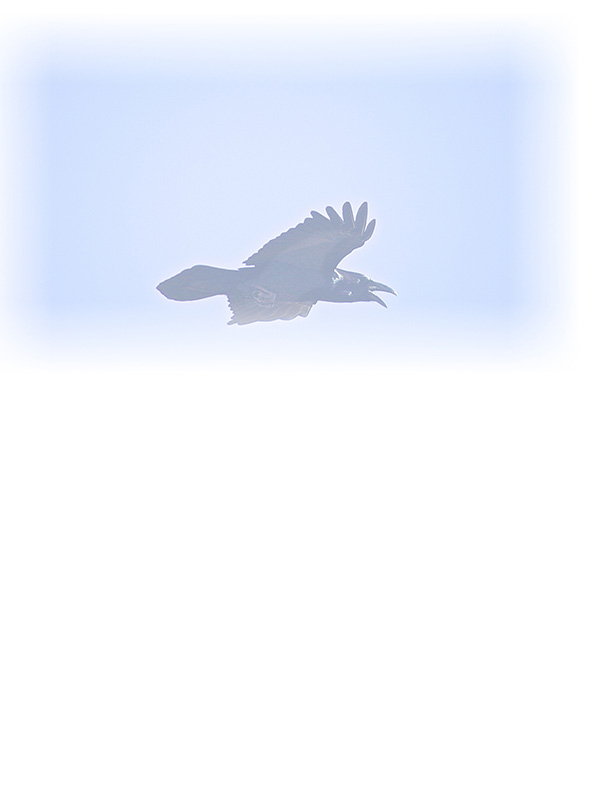 Law of Attraction Card - Image 3