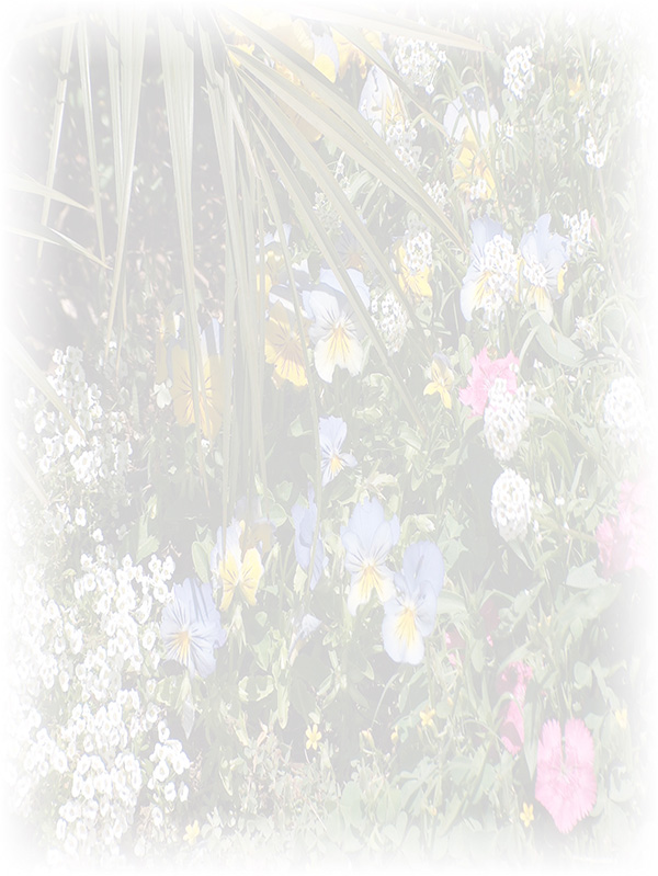 Law of Attraction Card - Image 3