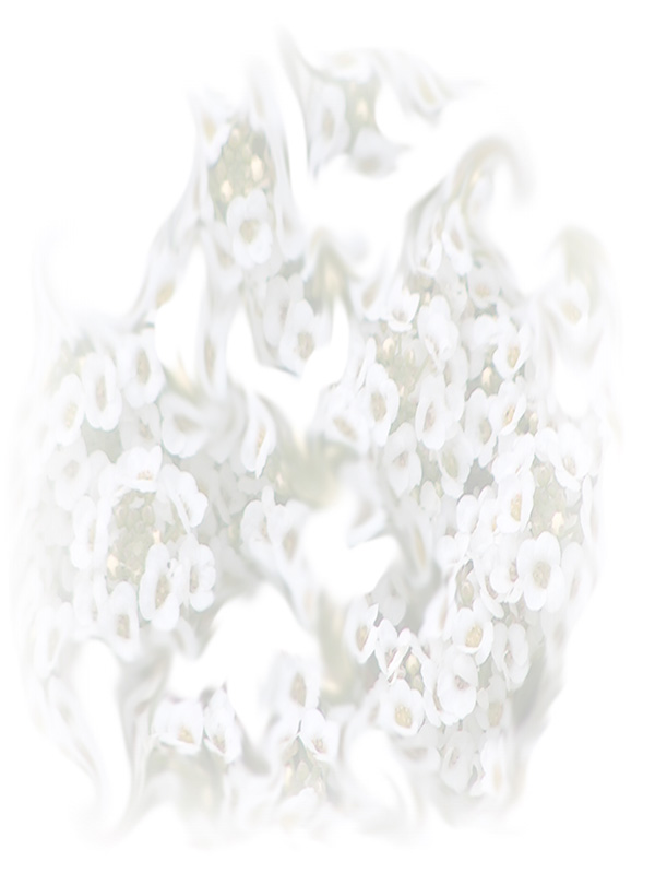 Law of Attraction Card - Image 3