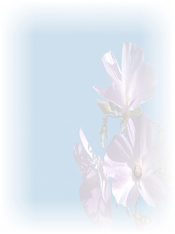 Law of Attraction Card - Image 3