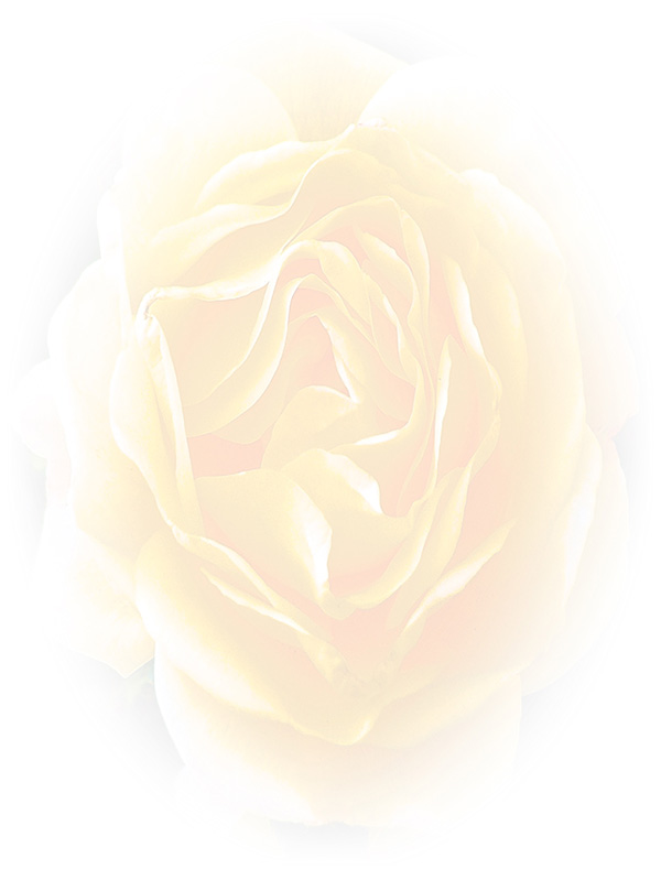 Law of Attraction Card - Image 3